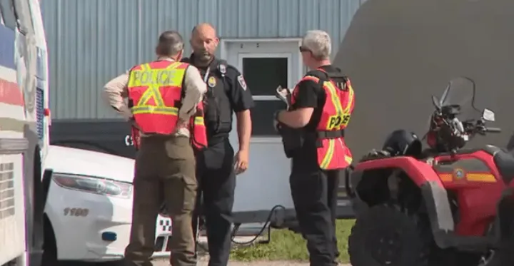 راننده‌ای که با کامیونت خود دو حیوان از جمله یک بچه گوزن را له کرد