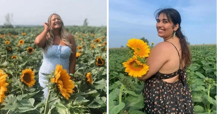 این مزرعه زیبای آفتاب‌گردان در نزدیکی لاوال واقعاً دیدنی است