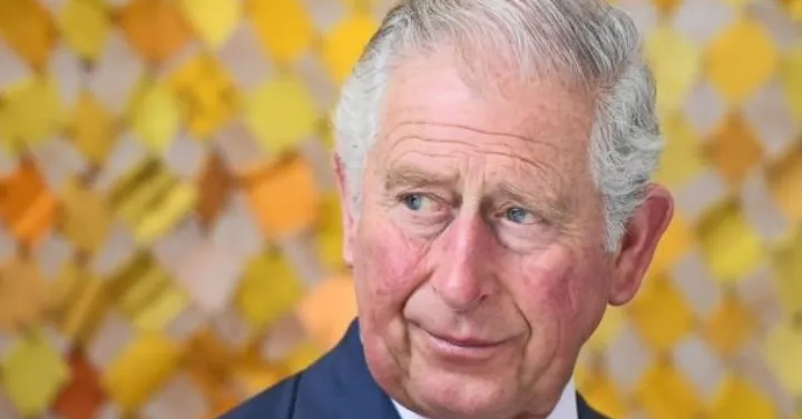 چارلز چگونه پادشاهی خواهد بود؟