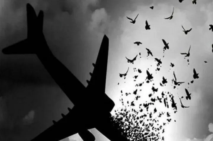 تأکید کانادا و بریتانیا بر لزوم پاسخگویی جمهوری اسلامی نسبت به سرنگونی پرواز ۷۵۲