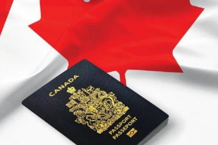 آیا می‌توان برای چند برنامه مهاجرتی کانادا به طور هم‌زمان اقدام کرد؟