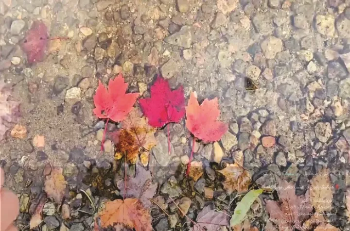 کوهنوردی پاییزی در بهشت طلایی مونت ترامبلانت