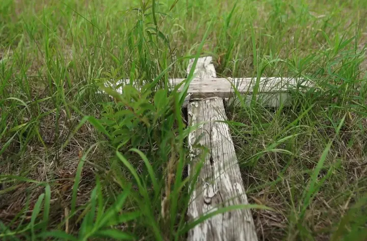 مجلس عوام کانادا سیستم مدارس شبانه‌روزی بومیان این کشور را به‌عنوان اقدام جهت نسل‌کشی به رسمیت شناخت