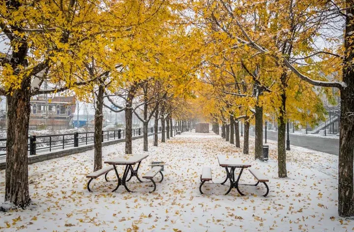 مونترالی‌ها منتظر اولین برف در تعطیلات پایان هفته باشند