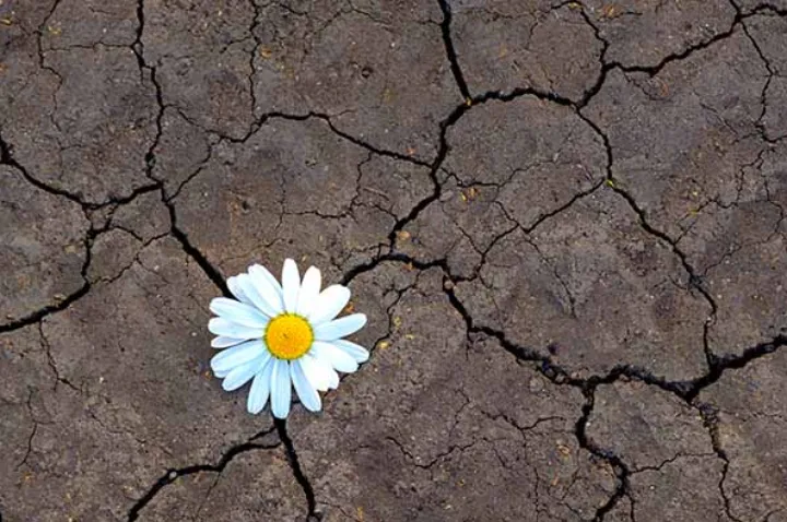 سه فرزند خلف حکومت دینی: دروغ، جنگ و بی‌عدالتی