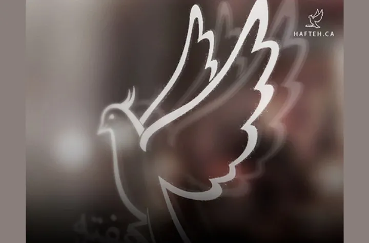 پایان سردبیری آرش محبی در رسانه هفته