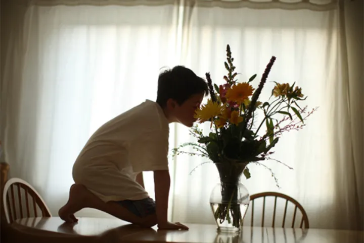 مونترال خانه‌ای امن برای متفاوت‌ها