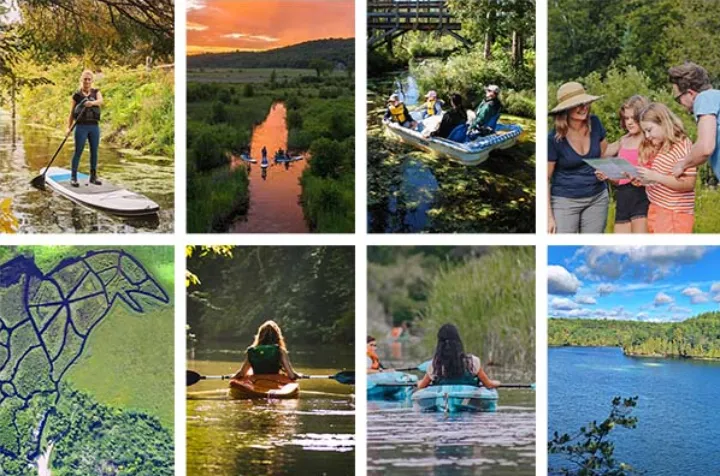 پادل‌بورد سواری در یک رودخانه‌ی هزارتو