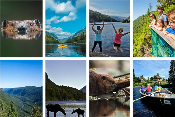 آشنایی با پارک ملی ژاک کارتیه در نیم ساعتی کبک‌سیتی