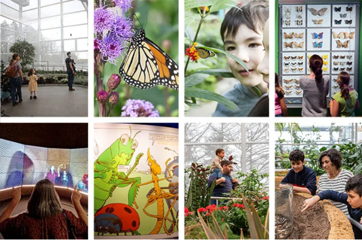 اینسکتاریوم مونترال، بزرگترین در قاره آمریکا