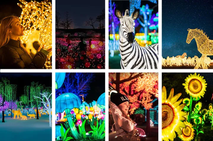 از باغ گل‌های درخشان یا «سمفونی گلها» در نزدیکی لاوال دیدن کنید