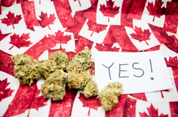 کاهش فعالیت‌های مجرمانه، افزایش مسمومیت در بین جوانان و کودکان