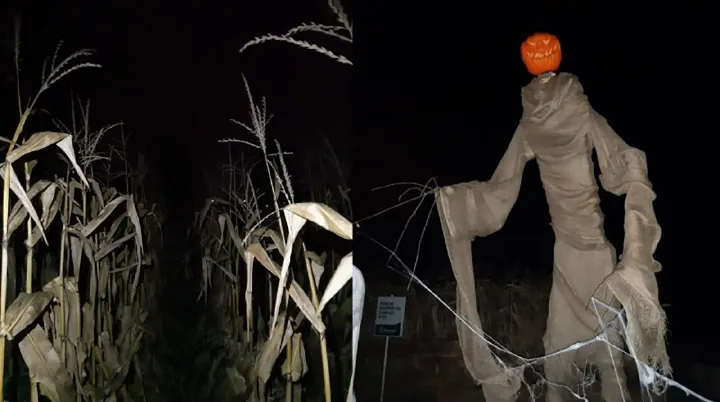 شب هالووین در دل یک هزارتوی بزرگ