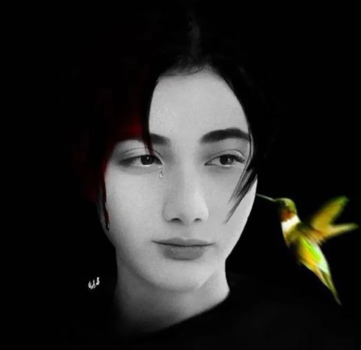 «شجاع در برابر تبعیض»، «قربانی حجاب اجباری» و «چشم‌هایی که بستند»