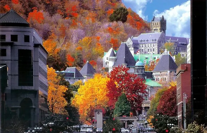 تجربه‌ی دو تن از دانشجویان ایرانی؛ «تحصیلات مستمر» در دانشگاه مک‌گیل