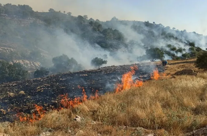 کاش قوانین کمپ زدن در جنگل‌های ایران هم مثل کانادا بود!