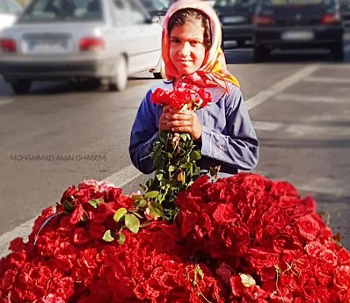 سهم من از کیک زرد