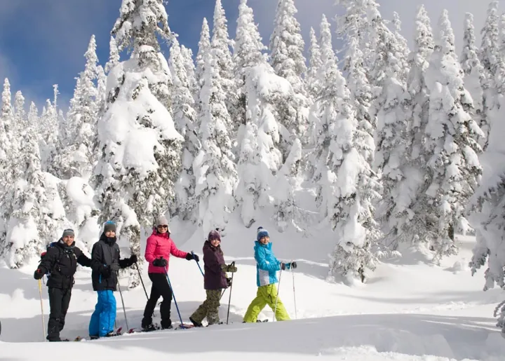 استفاده از ۲۳ پارک‌ملی کبک در زمستان ۳روز در هفته رایگان است