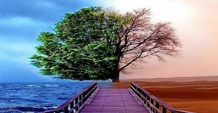 مرگ در برزخ؛ آریانا، داستان