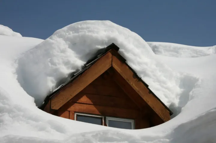 سپری از برگِ لاله بر تنِ روزگار