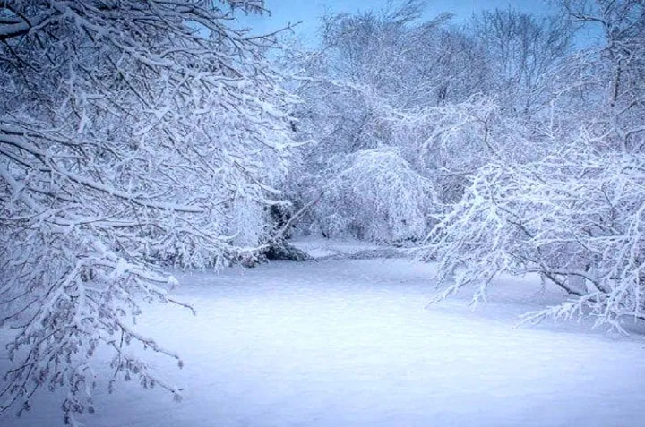 نگاهی به وجه دوگانه‌ی «برف» در اشعار پارسی