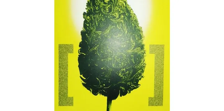 معرفی کتاب: شاعران امروز