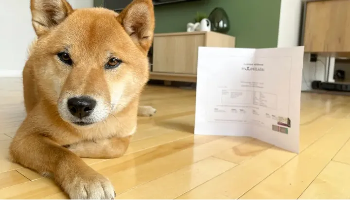 مقررات جدید سفر به آمریکا با سگ