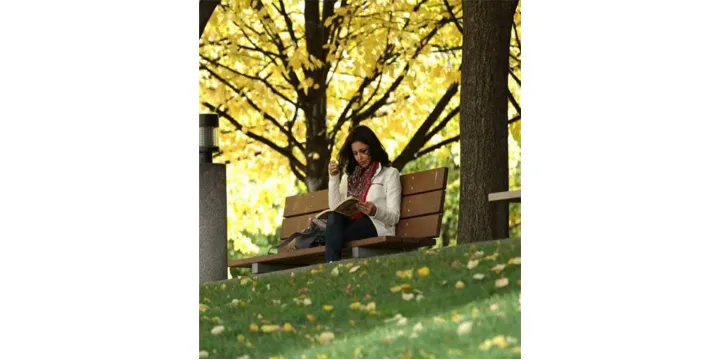 چهارشنبه در راه؛ اثر نیلوفر احمدی