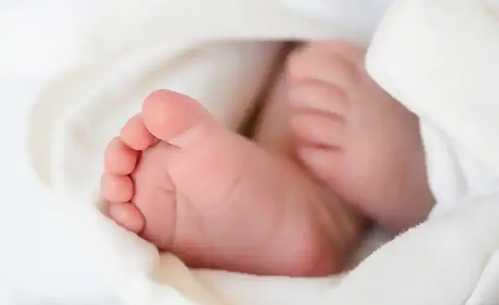 هزینه بزرگ کردن یک بچه در کبک چقدر است؟