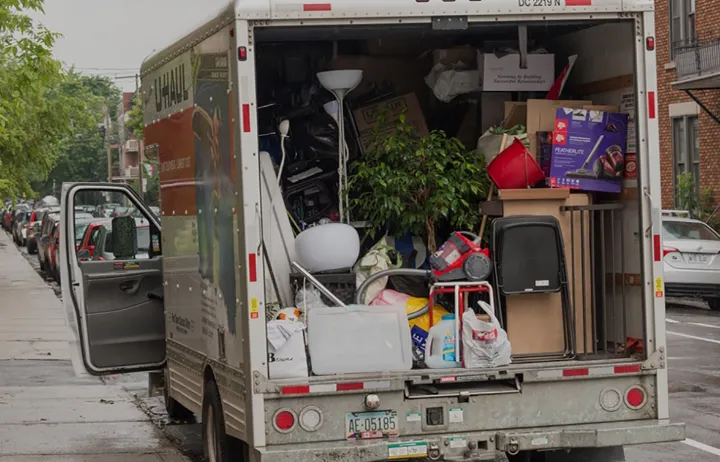 در آستانه اول ژوئیه صدها کبکی هنوز در جستجوی خانه هستند