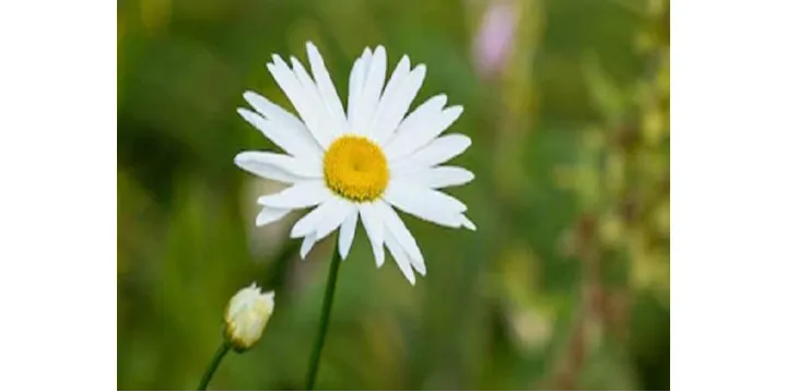 زیستن در گذشته، عین مرگ است و دیگر هیچ