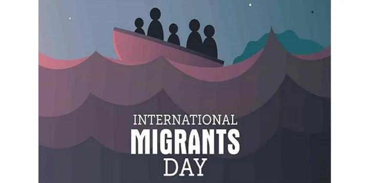 عطر نارونی که پدرم کاشته بود در این چمدان جا نشد