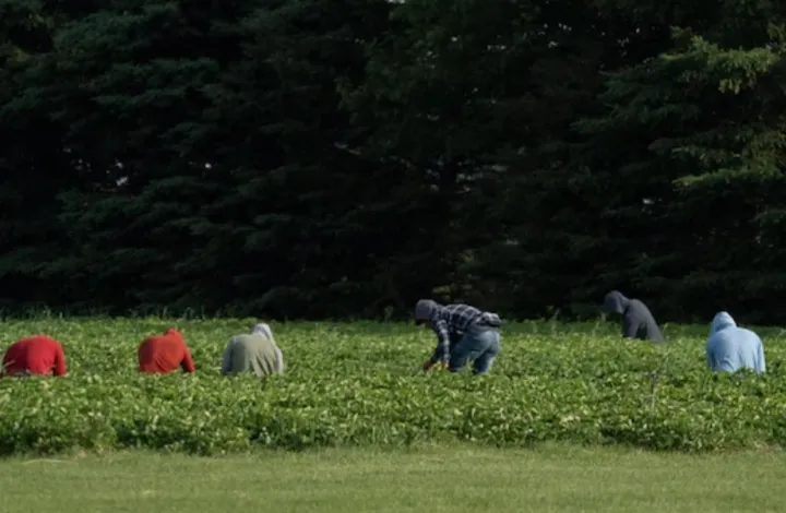 تعلیق برنامه کارگران خارجی موقت در مونترال به مدت ۶ ماه