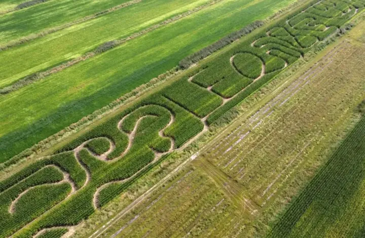 ۸ سپتامبر ده‌ها مزرعه زیبا در کبک به روی عموم باز خواهد بود
