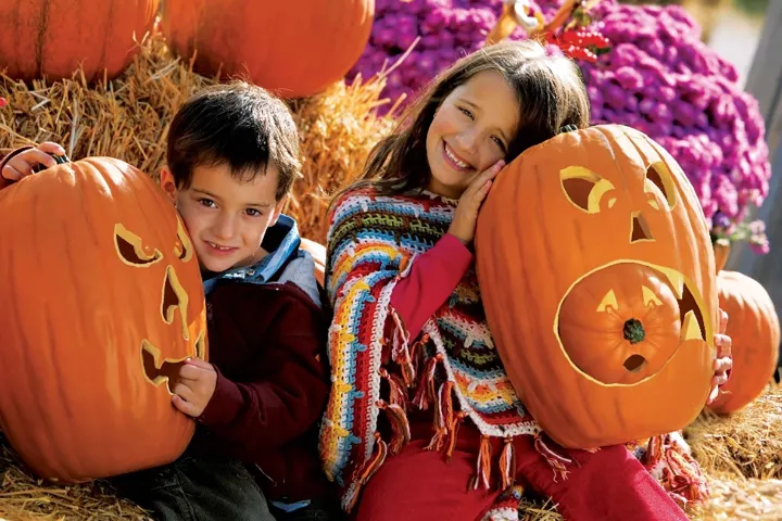 کبکی‌ها در هالووین هوایی مطبوع خواهند داشت