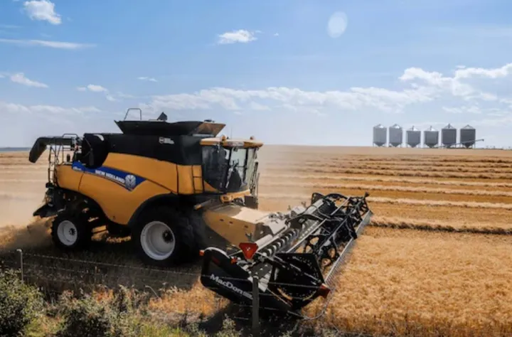 کانادا در شرف تبدیل شدن به سومین صادرکننده بزرگ گندم در جهان