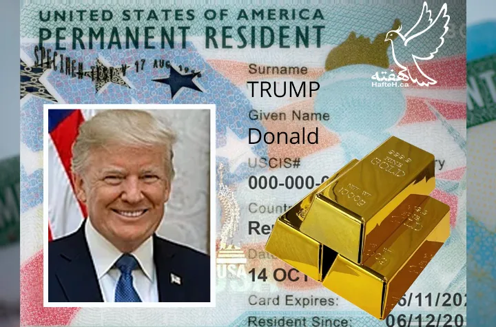 گلد کارت ترامپ، گرین کارت میلیونرها
