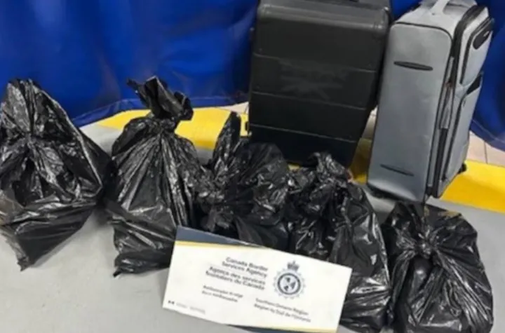 بازداشت راننده تریلی ایرانی-‌کانادایی با ۲۳ میلیون دلار کوکائین سر مرز آمریکا