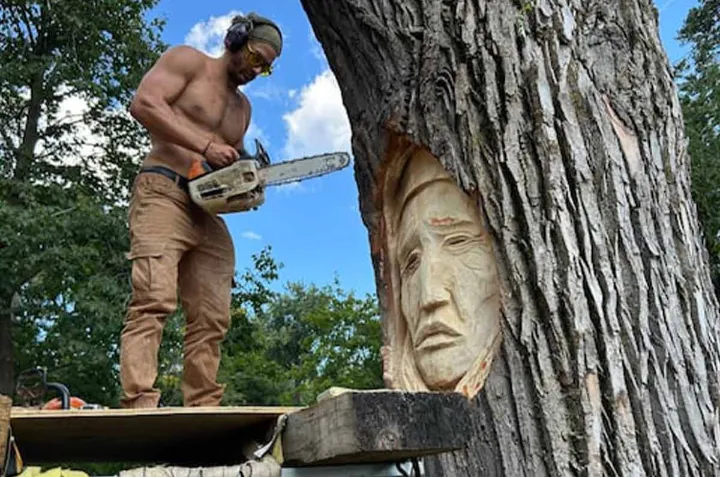 وقتی درختان دوباره جان می‌گیرند