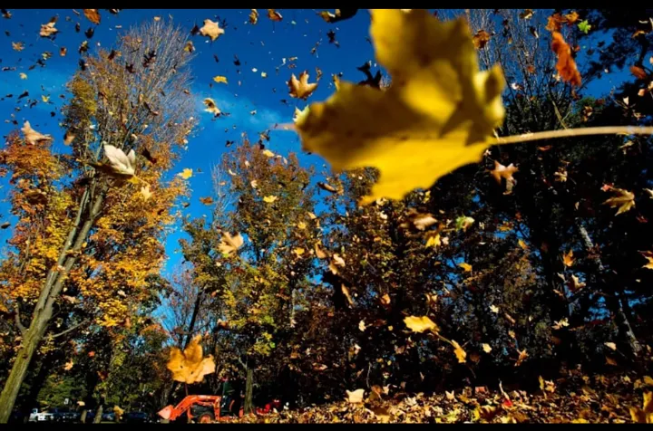 پاییز زودتر از همیشه در تورنتو!